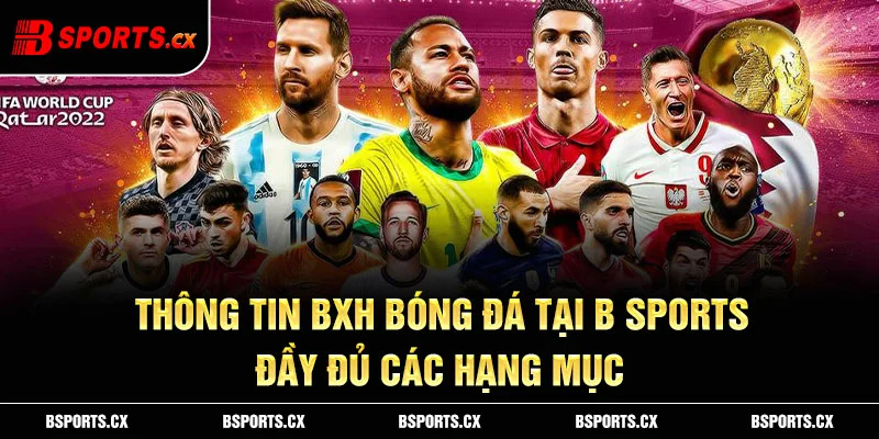 Ảnh: Thông tin bxh bóng đá tại B sports đầy đủ các hạng mục