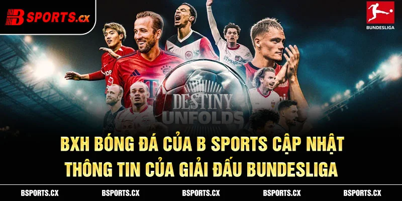 Ảnh: Bxh bóng đá của B sports cập nhật thông tin của giải đấu Bundesliga.